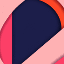 What Thousands of Years of Evolution Changed in Animals